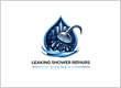 Leaking Shower Repairs Sydney
