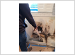 Water Damage Restoration Service