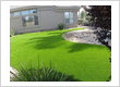 Arizona Artificial Grass