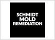 Schmidt Mold Remediation