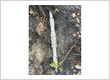 Hostetler Irrigation2