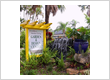 Terranova Nursery Garden Center