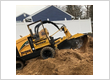 Stump Grinding/Removal | Stump Busters