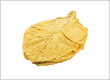 Virginia Bright Tobacco Leaves