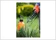 Pest Control Fresno