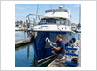 Boat Detailing