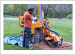 Tree Stump Removal