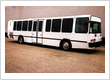 Party bus rental