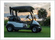golf cart insurance - tom needham insurance agency - greensboro