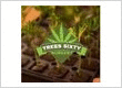 Trees Sixty Nursery