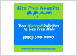 Lice Free Noggins Lice Treatment and Lice Removal Hartford, New Britain