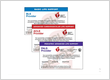 The photo shows all the certification we provide.