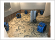 Water damage restoration