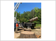 Tree service Chesnee & Spartanburgg