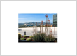 Business Lawyer Los Angeles, CA