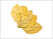 Order Virginia Bright Tobacco Leaves