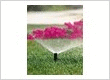 Awesome Irrigation System