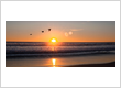 homes for sale in jupiter fl