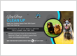 Dog Poop Clean Up