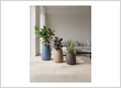 Modern Planters for Home & Garden | Fiber Pots India – Vassio