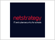 NetStrategy