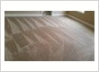 carpet-cleaning-farragut-tn