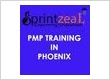 PMP Training in Phoenix