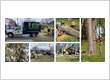 tree service in Waterford