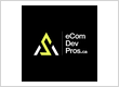 eCommerce Development Pros