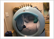 radiation injury treatment