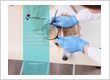 best flea treatment